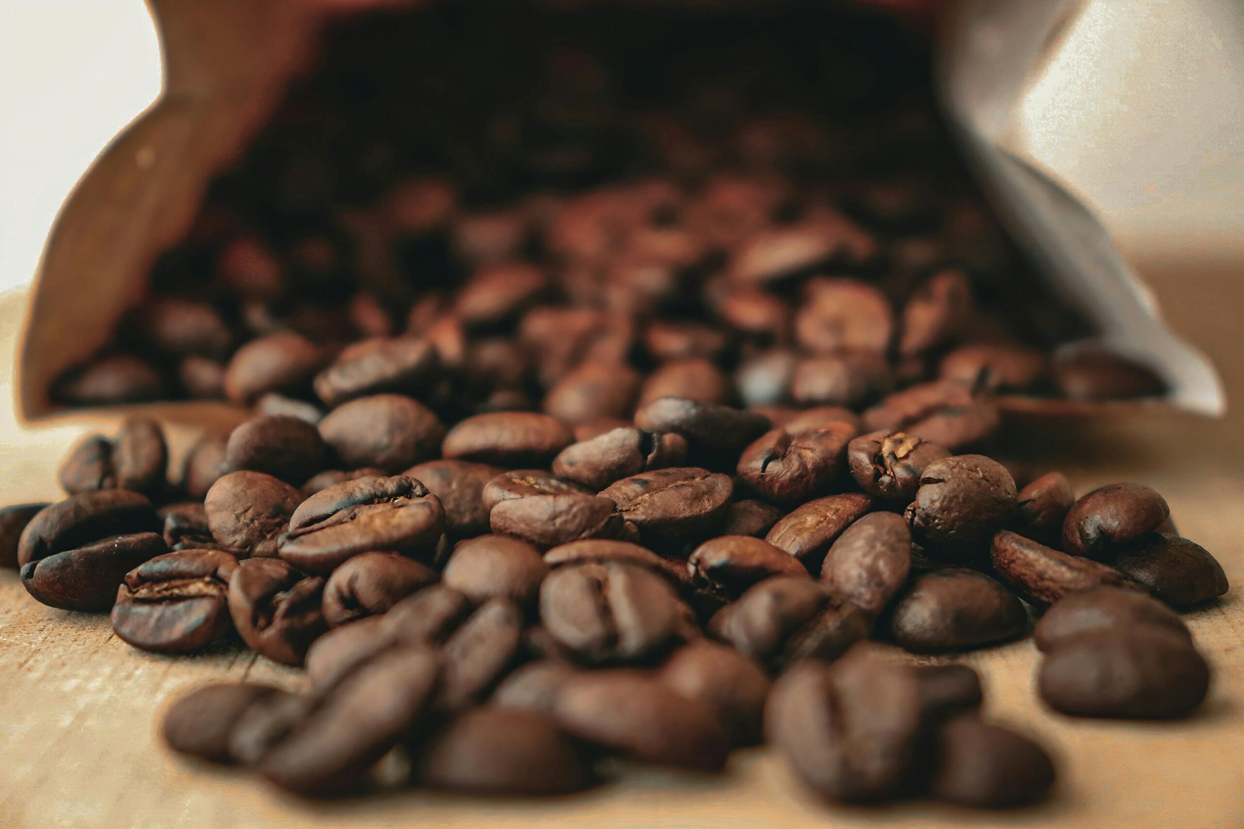 AeroPress Go Plus Kaffebrygger – Sort